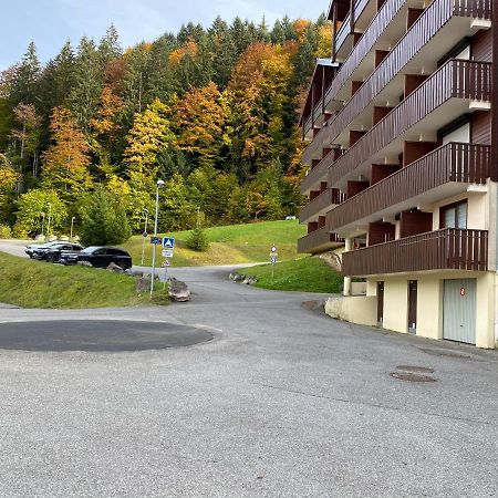 Appartement Studio 4 personnes pieds des pistes à Saint-Jean-dʼAulps Extérieur photo