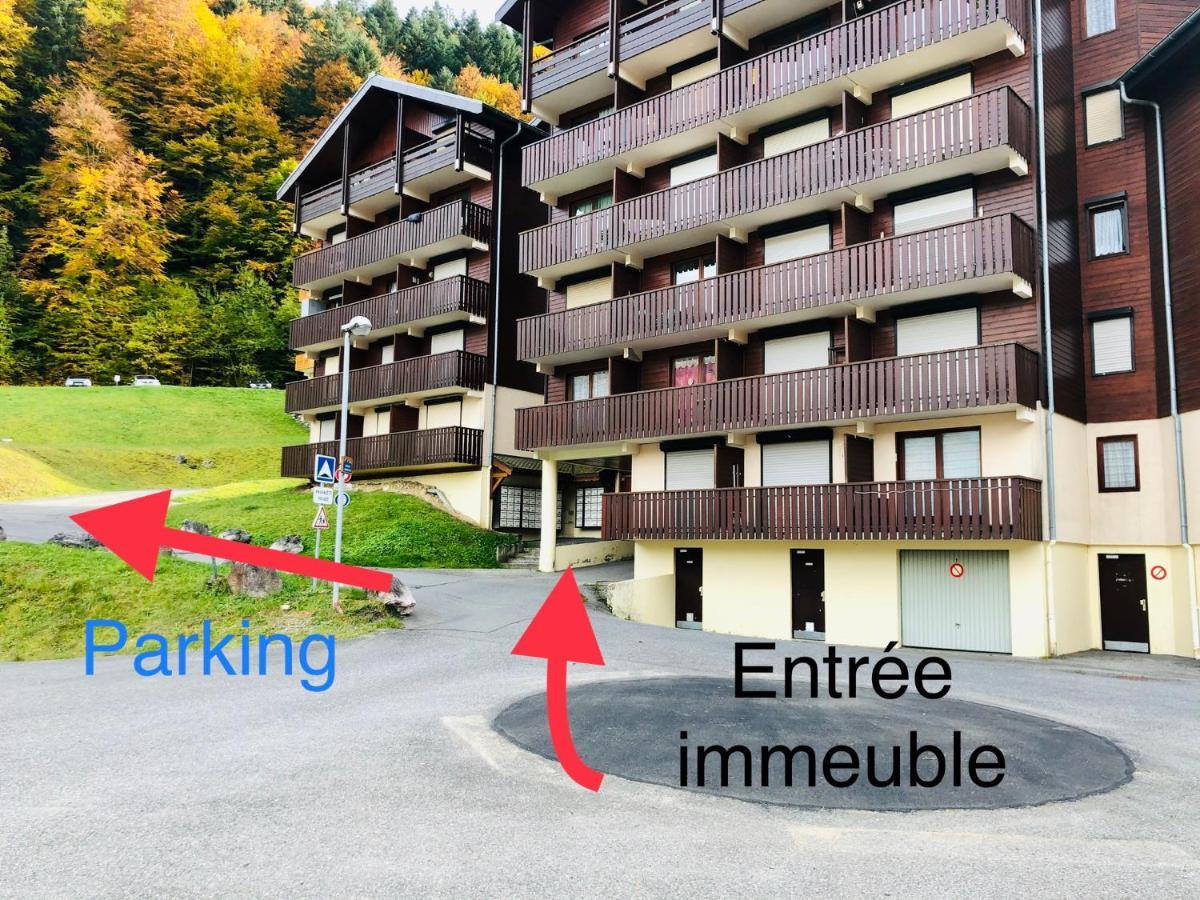Appartement Studio 4 personnes pieds des pistes à Saint-Jean-dʼAulps Extérieur photo